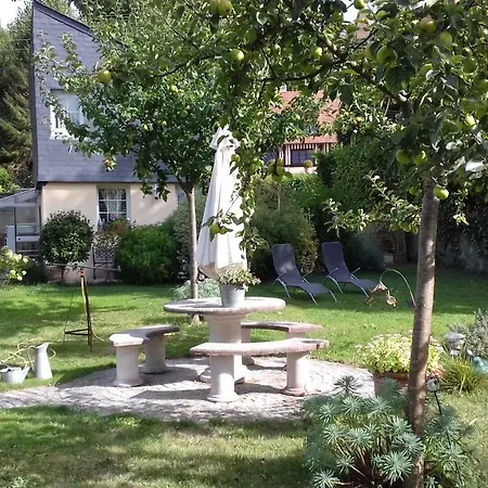 Appartement Et Les Hauts De Sophia