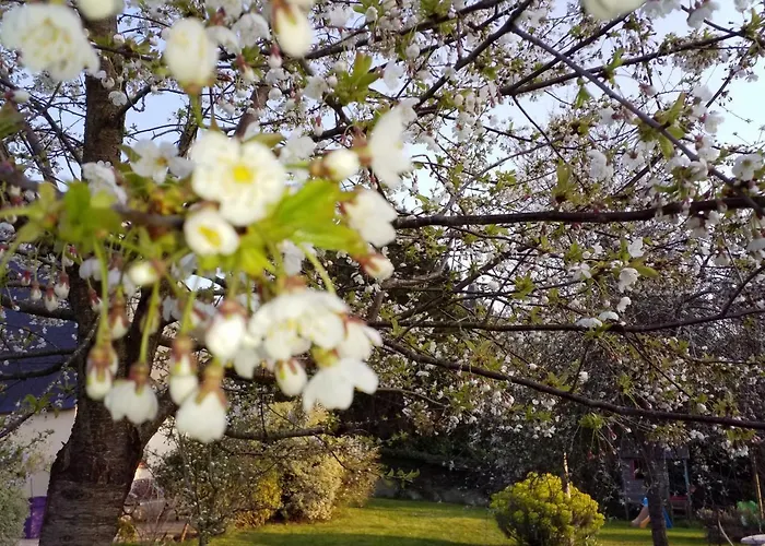 Et Les Hauts De Sophia