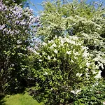 Et Les Hauts De Sophia 아파트 트로우빌쉬메르
