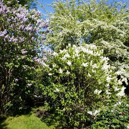 Et Les Hauts De Sophia דירה טרוביל-סור-מאר