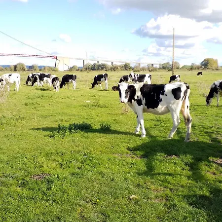 Et Les Hauts De Sophia Trouville-sur-Mer