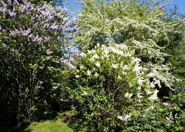 Et Les Hauts De Sophia Apartment Trouville-sur-Mer
