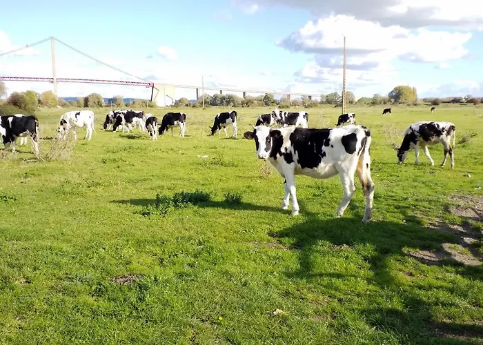 Et Les Hauts De Sophia Trouville-sur-Mer